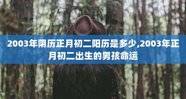 2003年阴历正月初二阳历是多少,2003年正月初二出生的男孩命运