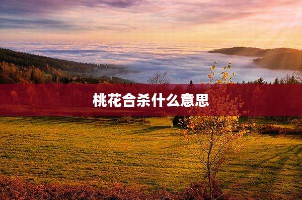 桃花合杀什么意思