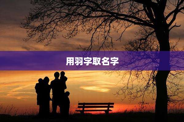 用羽字取名字