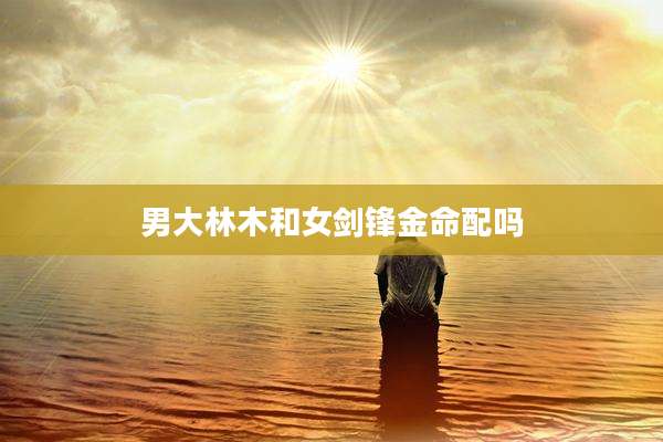 男大林木和女剑锋金命配吗