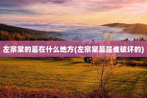 左宗棠的墓在什么地方(左宗棠墓是谁破坏的)