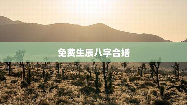 免费生辰八字合婚