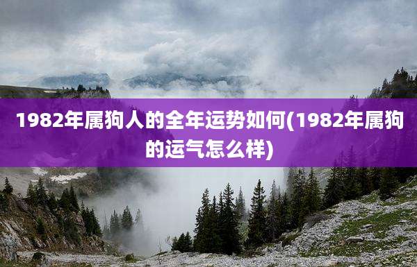 1982年属狗人的全年运势如何(1982年属狗的运气怎么样)