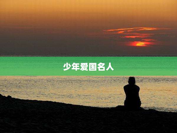 少年爱国名人