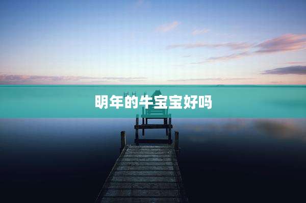 明年的牛宝宝好吗