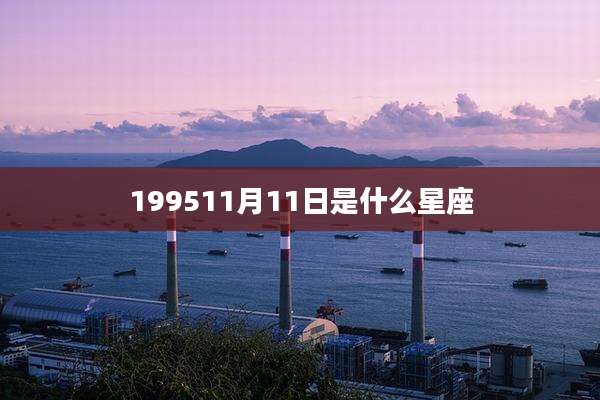 199511月11日是什么星座