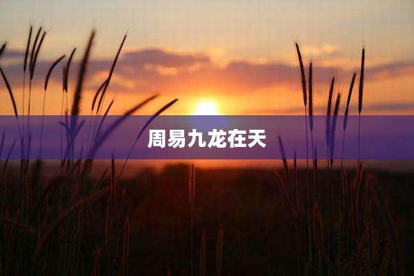 周易九龙在天