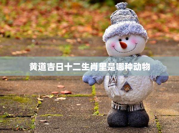 黄道吉日十二生肖里是哪种动物