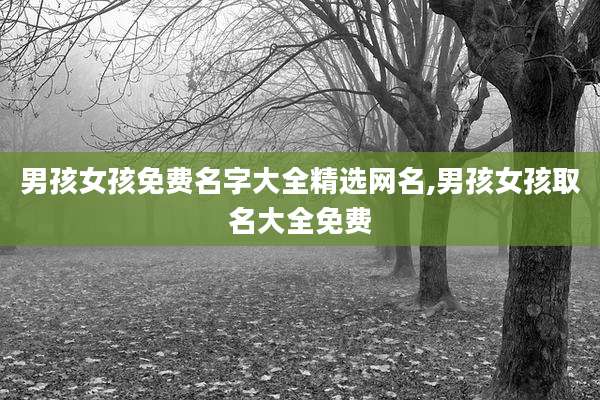 男孩女孩免费名字大全精选网名,男孩女孩取名大全免费