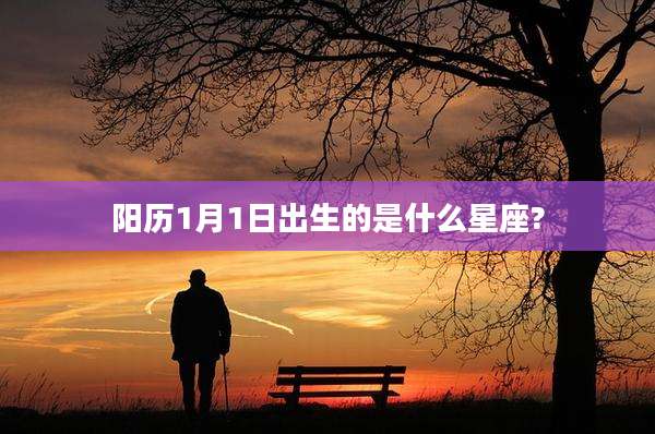 阳历1月1日出生的是什么星座?