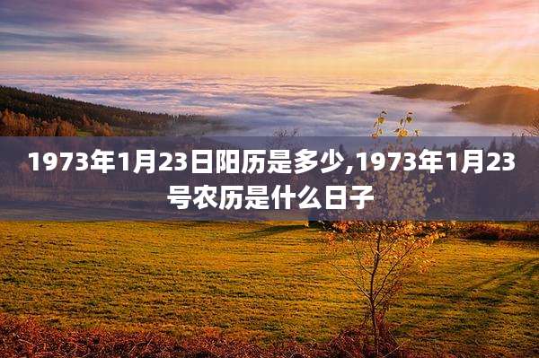 1973年1月23日阳历是多少,1973年1月23号农历是什么日子
