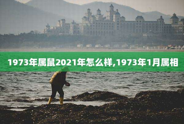 1973年属鼠2021年怎么样,1973年1月属相
