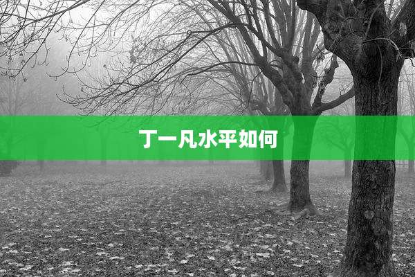 丁一凡水平如何