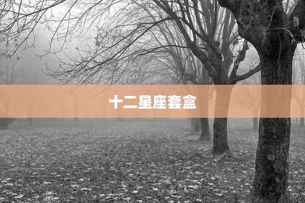 十二星座套盒