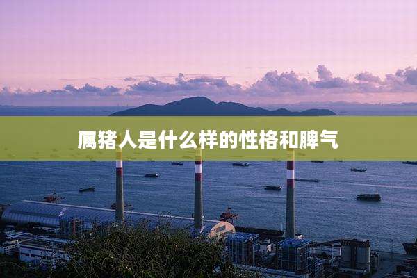 属猪人是什么样的性格和脾气