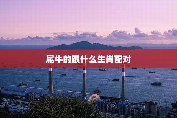 属牛的跟什么生肖配对