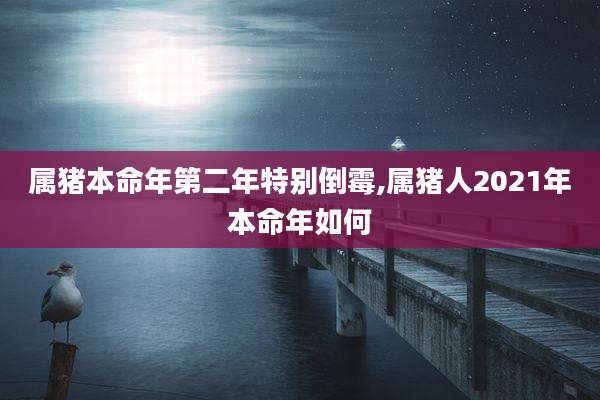 属猪本命年第二年特别倒霉,属猪人2021年本命年如何