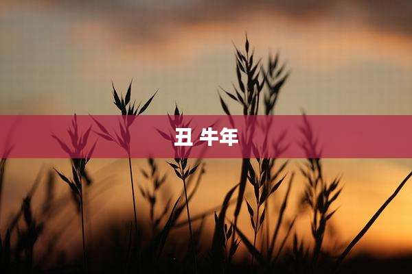 丑 牛年