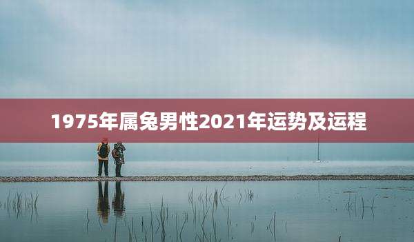 1975年属兔男性2021年运势及运程