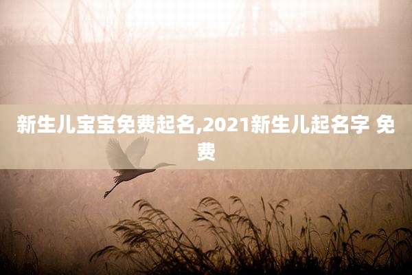 新生儿宝宝免费起名,2021新生儿起名字 免费