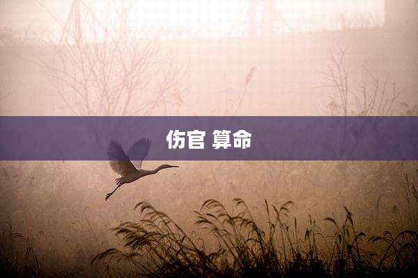 伤官 算命