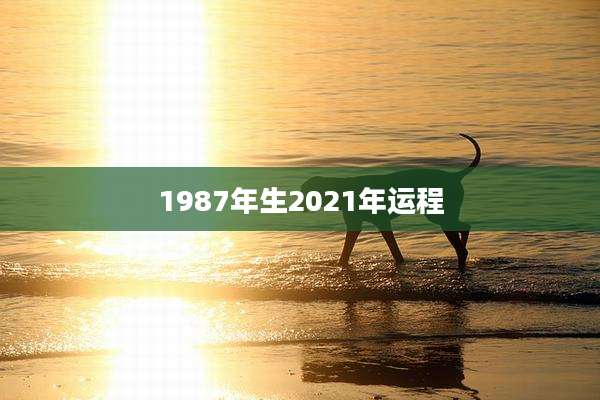 1987年生2021年运程