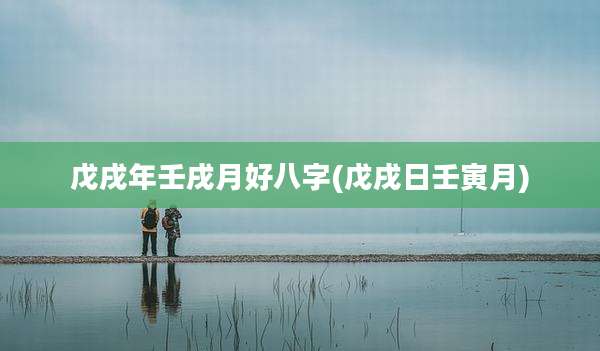 戊戌年壬戌月好八字(戊戌日壬寅月)
