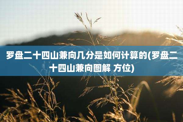 罗盘二十四山兼向几分是如何计算的(罗盘二十四山兼向图解 方位)