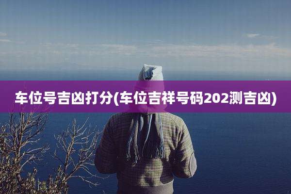 车位号吉凶打分(车位吉祥号码202测吉凶)