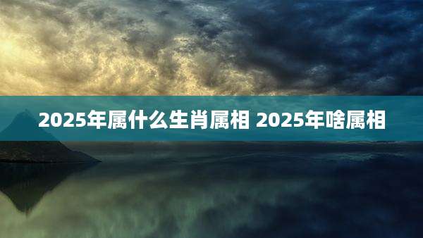 2025年属什么生肖属相 2025年啥属相