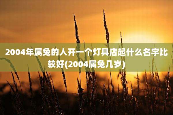 2004年属兔的人开一个灯具店起什么名字比较好(2004属兔几岁)
