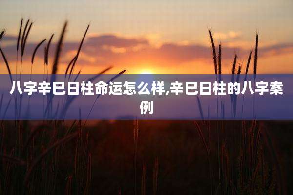 八字辛巳日柱命运怎么样,辛巳日柱的八字案例