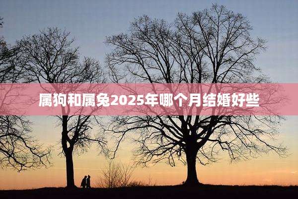属狗和属兔2025年哪个月结婚好些