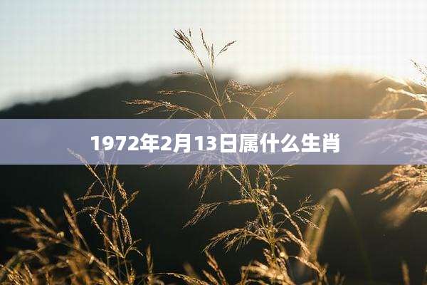 1972年2月13日属什么生肖
