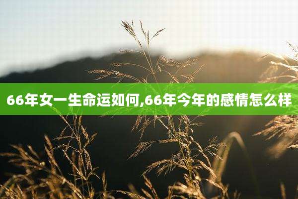 66年女一生命运如何,66年今年的感情怎么样