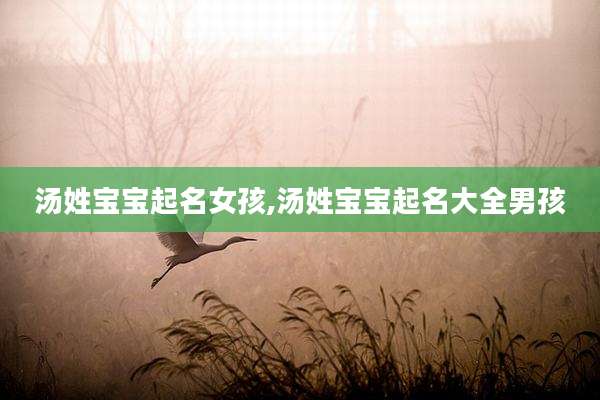 汤姓宝宝起名女孩,汤姓宝宝起名大全男孩