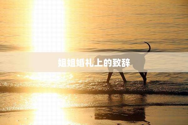 姐姐婚礼上的致辞