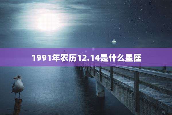 1991年农历12.14是什么星座
