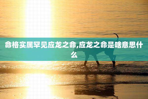 命格实属罕见应龙之命,应龙之命是啥意思什么
