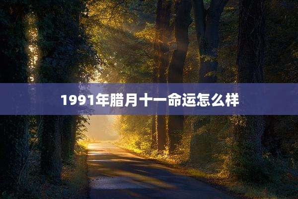1991年腊月十一命运怎么样