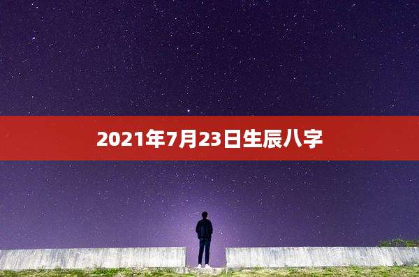 2021年7月23日生辰八字