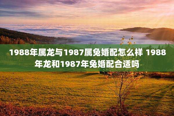 1988年属龙与1987属兔婚配怎么样 1988年龙和1987年兔婚配合适吗