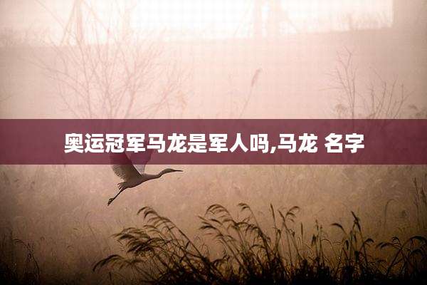 奥运冠军马龙是军人吗,马龙 名字