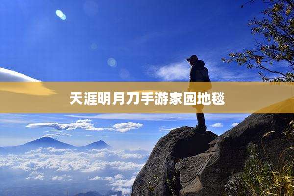 天涯明月刀手游家园地毯