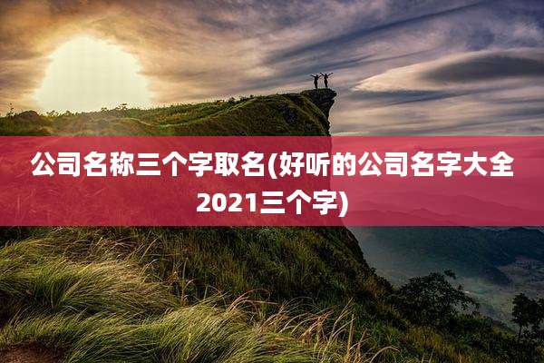公司名称三个字取名(好听的公司名字大全2021三个字)
