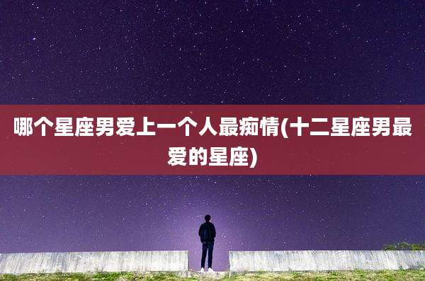 哪个星座男爱上一个人最痴情(十二星座男最爱的星座)