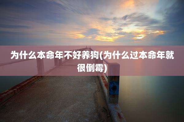 为什么本命年不好养狗(为什么过本命年就很倒霉)