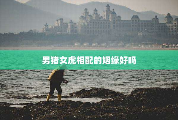 男猪女虎相配的姻缘好吗