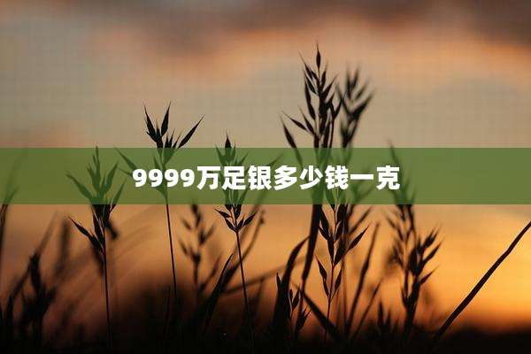 9999万足银多少钱一克