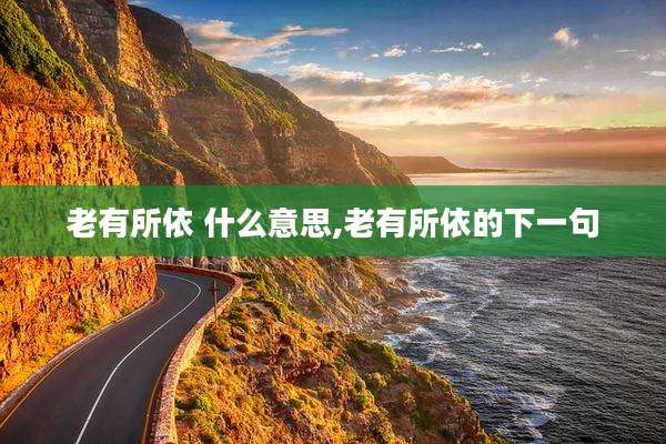 老有所依 什么意思,老有所依的下一句